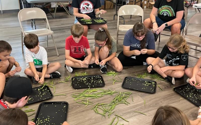 Lafayette County 4-Hers enjoy shelling peas during the annual Farm to Table 4-H day camp last week. The peas were part of a dinner the campers prepared from scratch. (COURTESY)