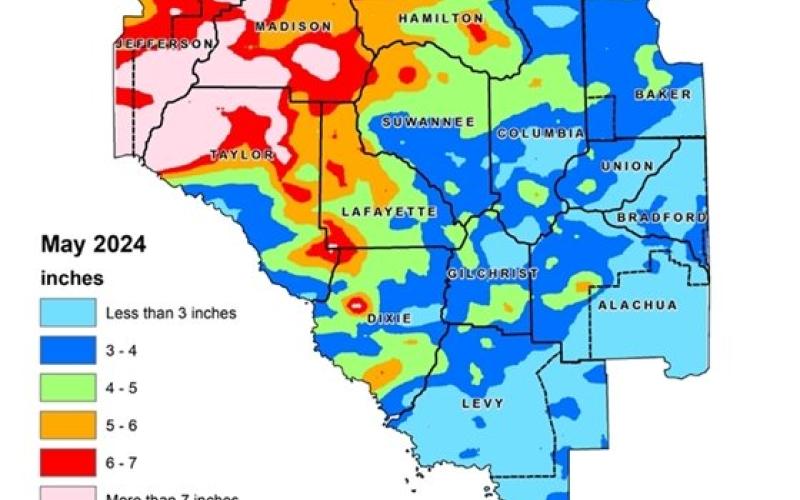 North Florida received 32% more rain in May than normal, according to the Suwannee River Water Management District’s hydrologic conditions report released this week. (COURTESY)