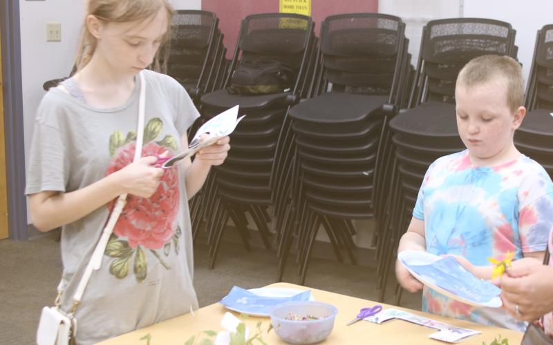 Cassidy Kreider (from left), 18, and Ryan Kreider, 9, work on creating cyanotypes Friday at the Columbia County Public Library. The cyanotype project Friday was the last project for this year’s summer program. (TONY BRITT/Lake City Reporter)