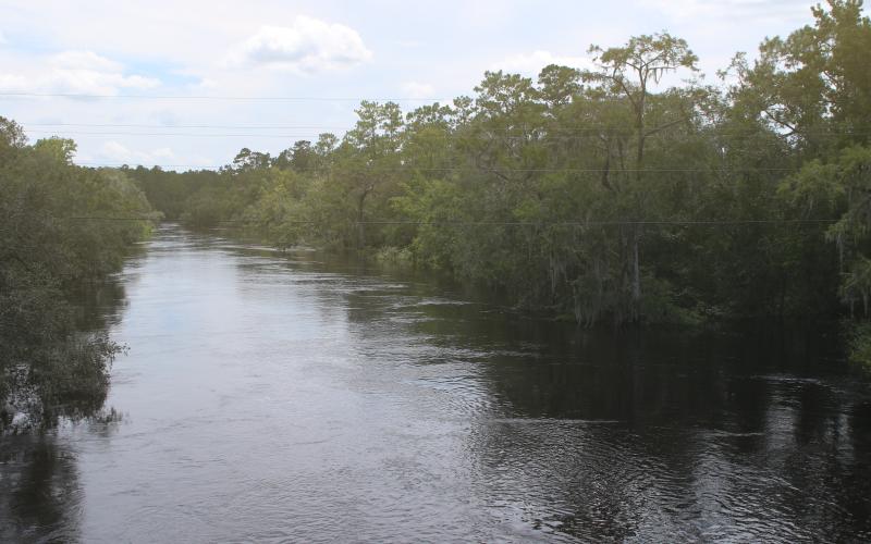 The Suwannee River is flooding from its banks at White Springs after Hurricane Debby dumped up to 16 inches of rain in the area. The river has risen 20 feet at White Springs since last weekend. (TONY BRITT/Lake City Reporter)