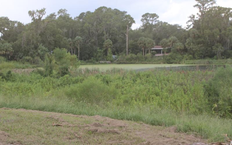 The City of Lake City is seeking state grant funding for several projects, including the restoration of Gwen Lake. (TONY BRITT/Lake City Reporter)