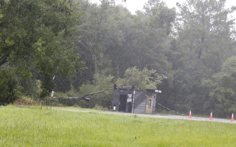 A tree fell on the BW Blacksmith Coffee location off of State Road 47 south of the Interstate 75 interchange. (STASI WACHTER/Special to the Reporter)