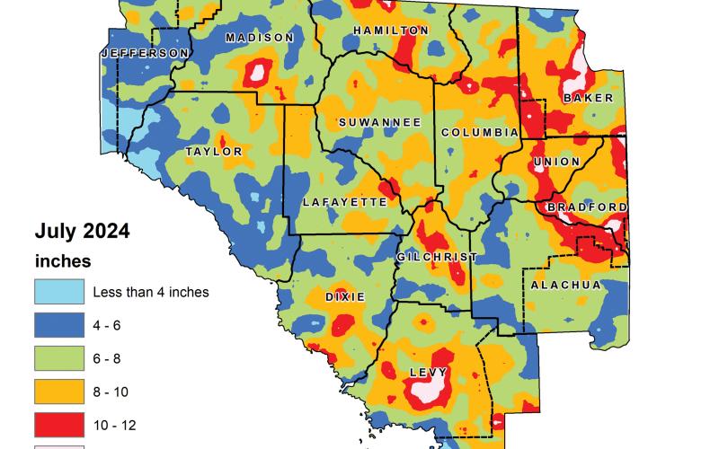 According to the Suwannee River Water Management District’s hydrologic conditions report, most of North Florida received between 5 and 9 inches of rain in July. (COURTESY)