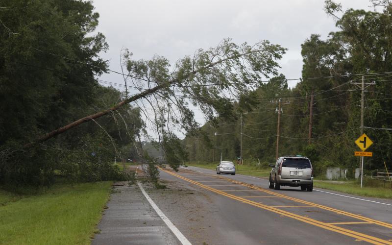 A tree leans over State Road 47 near SW Walter Ave. on Friday after Hurricane Helene passed through Columbia County. (JAMIE WACHTER/Lake City Reporter)