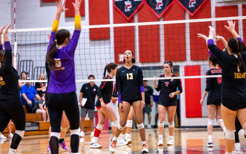 The Union County Tigers celebrate after scoring a point against Lafayette in the Region 3-R semifinals on Saturday. (JACK HOWDESHELL/Lake City Reporter)