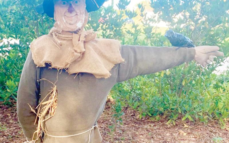 An entry into last year’s Scarecrow Festival is pictured with a crow companion. This year’s event has been delayed. (COURTESY)