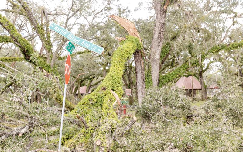 Veterans Memorial Park in Mayo, which hosts Pioneer Day, sustained a lot of tree damage from Hurricane Helene. (JACK HOWDESHELL/Lake City Reporter)