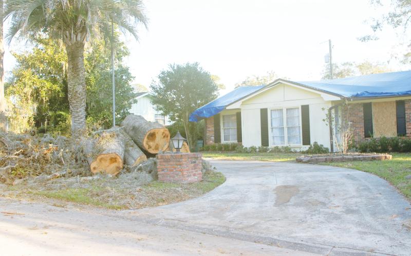 A couple of large logs rest on a pile of debris near a home on SW Oleander Street on Wednesday afternoon. Hurricane Helene lefts various types of organic debris in its wake. (TONY BRITT/Lake City Reporter)