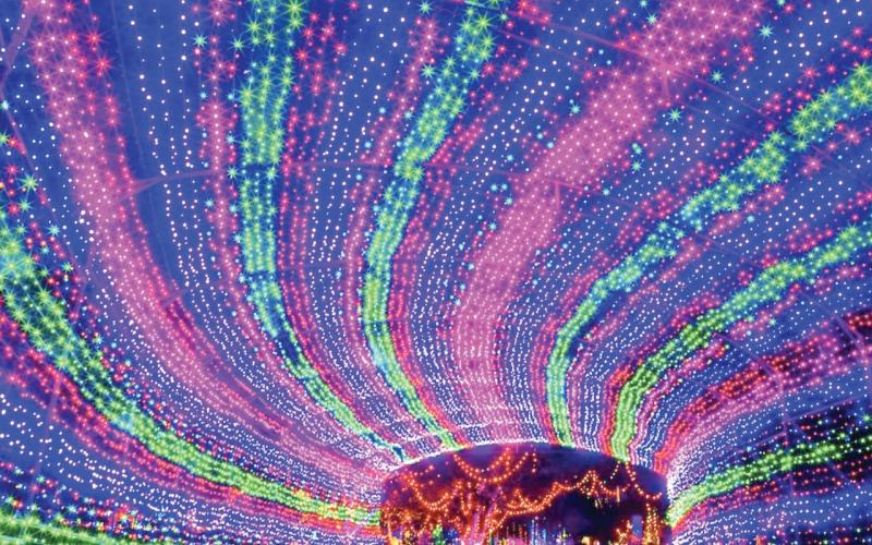 The Suwannee Lights drive-through lights exhibit features more than 12 million lights and has added new displays this year. Suwannee Lights opens Friday and will be open daily through Dec. 30 at the Spirit of the Suwannee Music Park. (COURTESY)