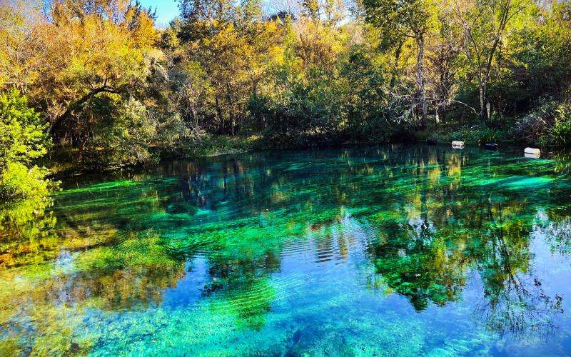 The Florida Springs Council, an environmental advocacy group, filed a lawsuit claiming the new state law doesn’t protect Outstanding Florida Springs such as Ichetucknee Springs in Columbia County. (COURTESY TOURISM DEVELOPMENT COUNCIL)