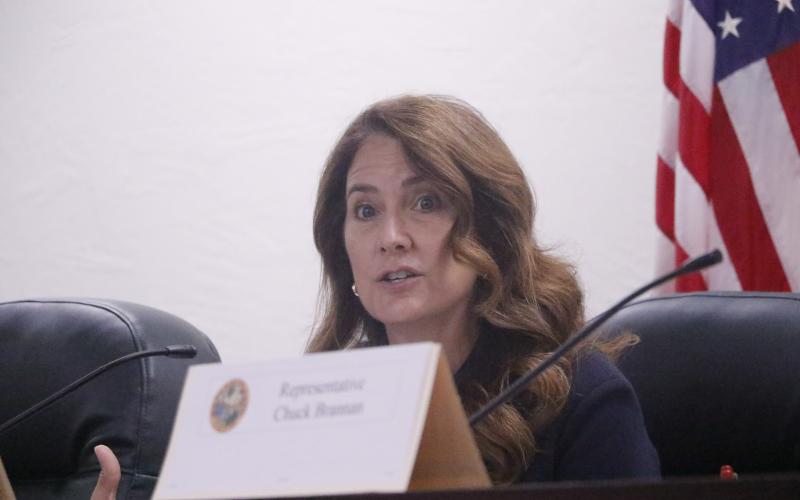 Sen. Jennifer Bradley said she wants to see population thresholds increased when it comes to the state designating which counties are rural. (JAMIE WACHTER/Lake City Reporter)