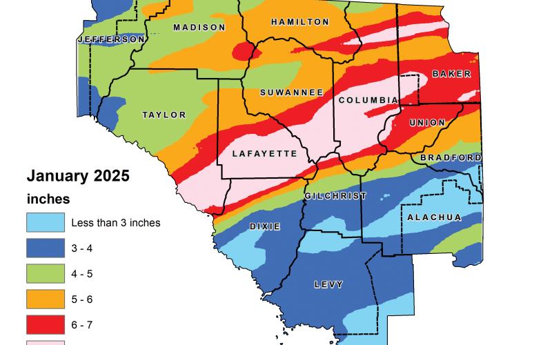 January was wetter than normal in North Florida, according to the Suwannee River Water Management District. (COURTESY)