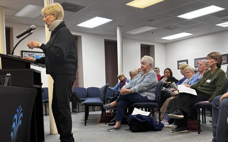 Tina Roberts with the Lake City Woman’s Club speaks to the Lake City Council about the importance of saving the historic Club House on Lake Isabella during Tuesday’s meeting. Nearly two dozen Woman’s Club and Garden Club members attended the meeting in support of saving the historic building. (JAMIE WACHTER/Lake City Reporter)