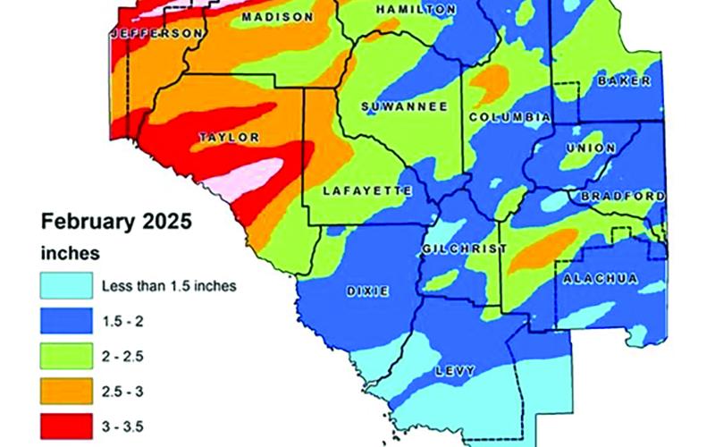 According to the Suwannee River Water Management District, February was 42% drier than the historical average for the month. (COURTESY)