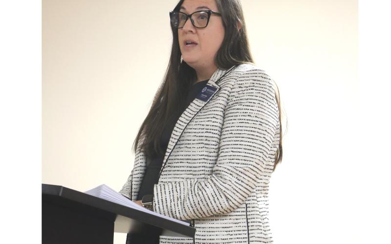 Meridian Healthcare Chief Operating Officer Lauren Cohn addresses the Lake Shore Hospital Authority during its Monday meeting. (MORGAN MCMULLEN/Lake City Reporter)