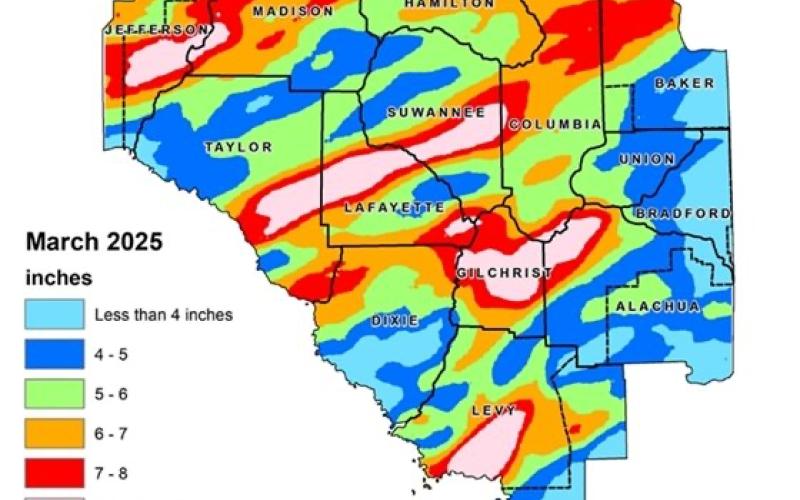 Most areas in North Florida received an average of 5.97 inches of rainfall in March, with areas of Suwannee, Lafayette, Taylor and Gilchrist counties receiving more than eight inches. (COURTESY)