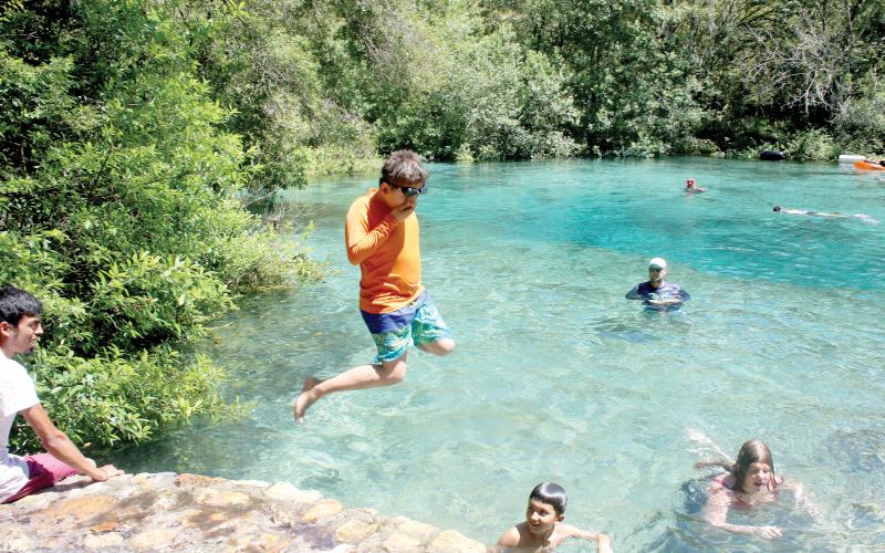 Dariel Garcia leaps into water at Ichetucknee Springs State Park several years ago. A bill passed by the Florida House of Representatives on Friday would eliminate local Tourist Development Councils and allow tourism tax funding to be used for any public purpose. (FILE)