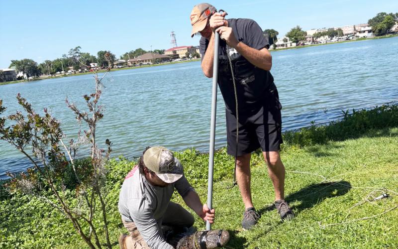A pair of alligator trappers wrangle a gator on the banks of Lake DeSoto on Wednesday. (COURTESY)