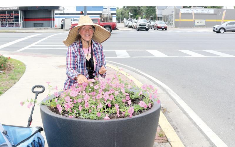 Sonya Rossin, of the Lake City Garden Club, works on replanting and watering Bubble Gum Petunias in the planter near the intersection of Marion Avenue and Duval Street on Tuesday afternoon. Several members of the Lake City Garden worked on the plants as part of the group’s beautification project. (TONY BRITT/Lake City Reporter)