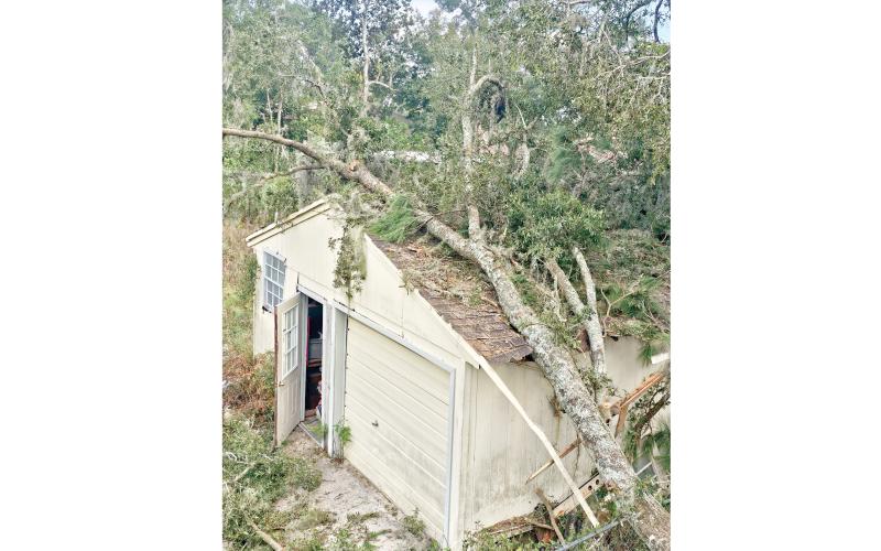 A tree was blown over on top of a shed on SW Castle Heights Terrace during Hurricane Helene last year. Another active storm season is expected this year. (FILE)
