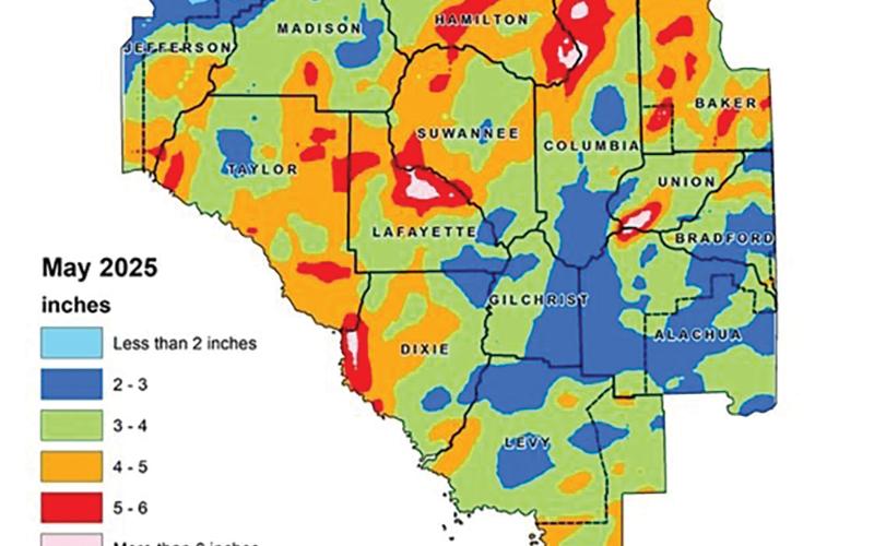 North Florida received approximately 8% more rain in May than its historical average according to the Suwannee River Water Management District. (COURTESY)