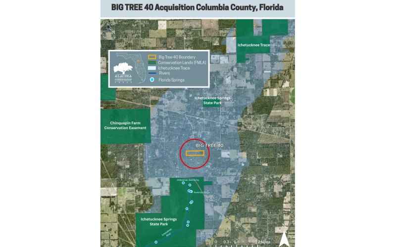 The Alachua Conservation Trust purchased the Big Tree 40 property in southern Columbia County for conservation efforts near Ichetucknee Springs. (COURTESY)