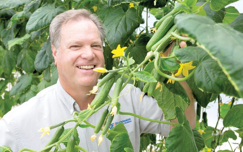 Bob Hochmuth stands among hydroponically grown cucumbers during a Small Farms Academy session at the UF/IFAS North Florida Research &amp; Education Center – Suwannee Valley (NFREC-SV) in Live Oak. (TYLER JONES/UF/IFAS)