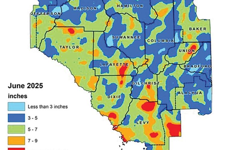 Most of North Florida received between 3-7 inches of rain in June, although some parts of Lafayette County received more than 9 inches of rain in the month. (COURTESY)