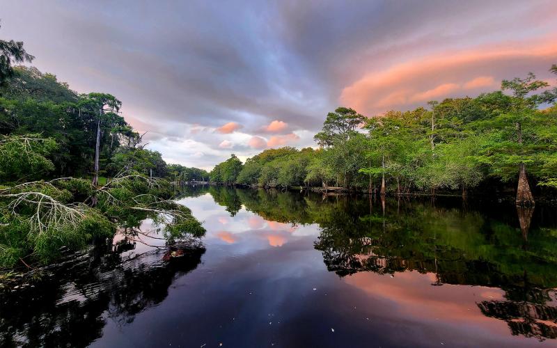 This photo of the Santa Fe River was included on the Suwannee River Water Management District’s 2025 calendar. The photo contest for the 2026 calendar is up and running and submissions are due by Sept. 20. (COURTESY HEIDI SHUBERT)