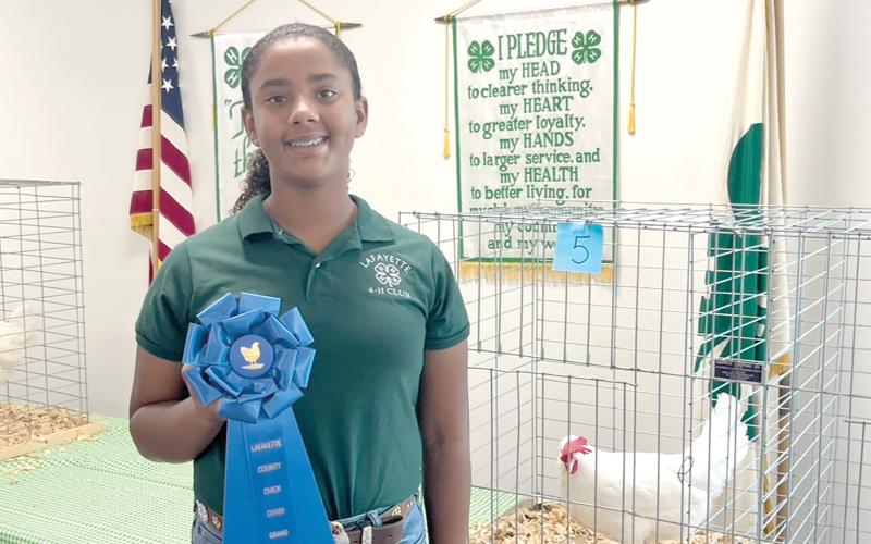 Jada Hencrick shows off her Grand Champion White Leghorn Hen from the Lafayette County 4-H annual Chick-Chain Contest. (COURTESY LAFAYETTE COUNTY 4-H)