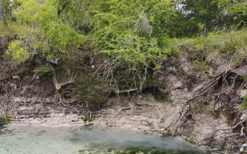 Erosion issues at Little River Springs will be addressed with funding from the Suwannee River Water Management District. (COURTESY SRWMD)