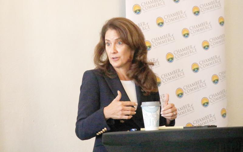 State Sen. Jennifer Bradley said any property tax reform the state implements will have to have no negative impacts on rural, fiscally constrained counties like Columbia County. Bradley spoke at a Lake City-Columbia County Chamber of Commerce Coffee and Commerce event Wednesday morning. (JAMIE WACHTER/Lake City Reporter)