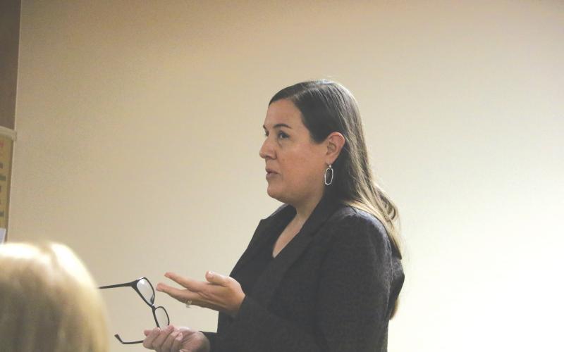 Meridian Healthcare CEO Lauren Cohn told the Lake Shore Hospital Authority that the Meridian Healthcare Board of Directors would like to split the cost of a due diligence inspection on the main hospital building. (MORGAN MCMULLEN/Lake City Reporter)