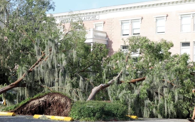 Trees were knocked down in the Lake City Hall parking lot by Hurricane Helene, which had winds up to 112 miles per hour in Columbia County, last September. (FILE)