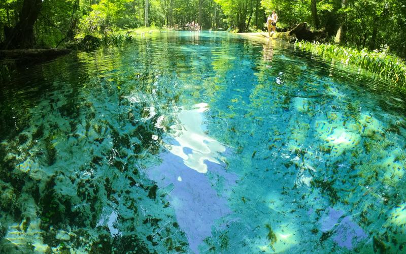 In an effort to protect the lower Ichetucknee River and Ichetucknee Springs, Linda Weseman is seeking a no wake zone on the lower Ichetucknee as part of a petition for a springs protection zone from the Florida Fish and Wildlife Conservation Commission. The Columbia County Commission agreed to support that effort Thursday. (COURTESY)