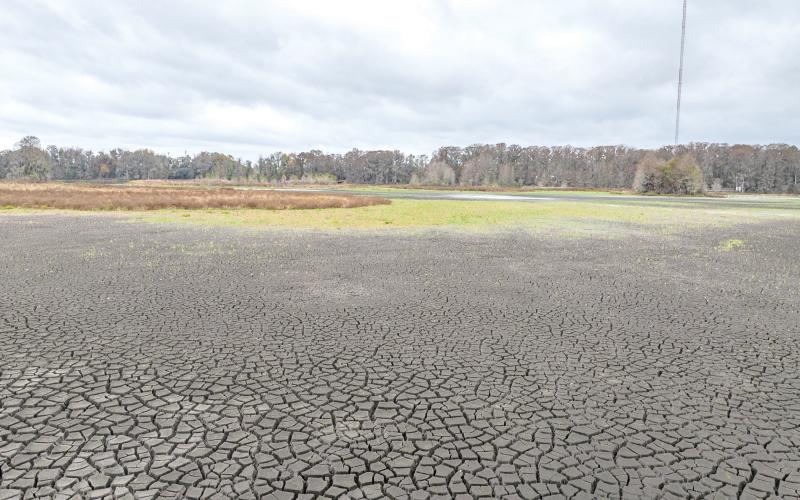 The bottom of Alligator Lake was a bed of cracked mud this month as the drought conditions that have been experienced in North Florida this month and unplugged sink holes in the lake caused it to drain. (RAY CARPENTER/Lake City Reporter)