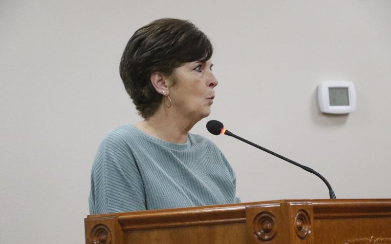 Vicki Waters said her property on 119th Road in Live Oak needs to be turned into a retention pond. (JAMIE WACHTER/Lake City Reporter)