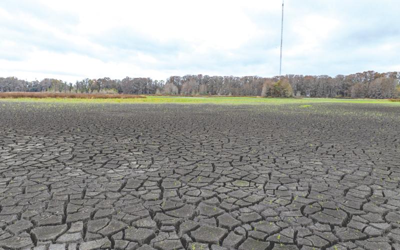 The dried lake bed of Alligator Lake sits after below-average rainfall fell across North Florida over the last few months. (RAY CARPENTER/Lake City Reporter)