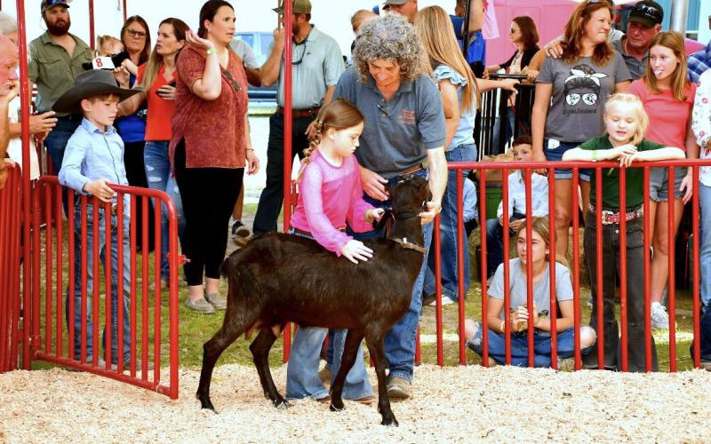 Suwannee County Fair Manager Lynn Touchton helps a child with an animal at a previous year’s Suwannee County Fair. The 111th annual fair opens Friday and will run for nine days, celebrating fair, family and freedom. (COURTESY)