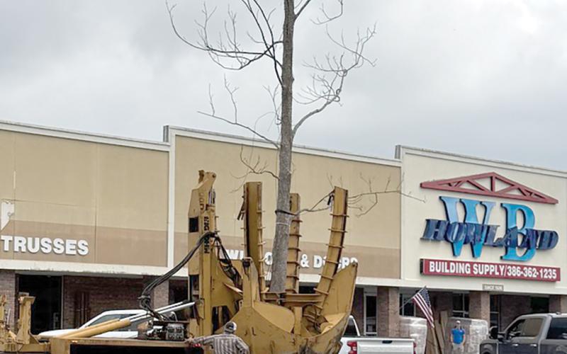 A new pecan tree was planted outside the W.B. Howland Company store in Live Oak last week. The tree was transplanted from the original Howland homestead in the Clayland area, the site of the family’s first Suwannee County store. (COURTESY)