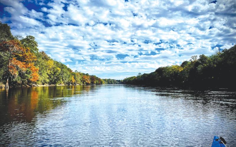 The Suwannee River is among the 10 most endangered rivers in the United States, according to a recent ranking released by American Rivers. (Photo courtesy KELLY BAHR)