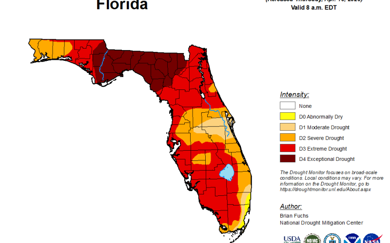 All of Columbia County, as well as Suwannee, Hamilton and Lafayette counties, are in exceptional drought. (U.S. DROUGHT MONITOR)