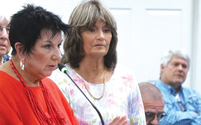 Lake City Humane Society Executive Director Elizabeth Halloran (left) addresses the Lake City Council during Monday’s workshop. (MORGAN MCMULLEN/Lake City Reporter)