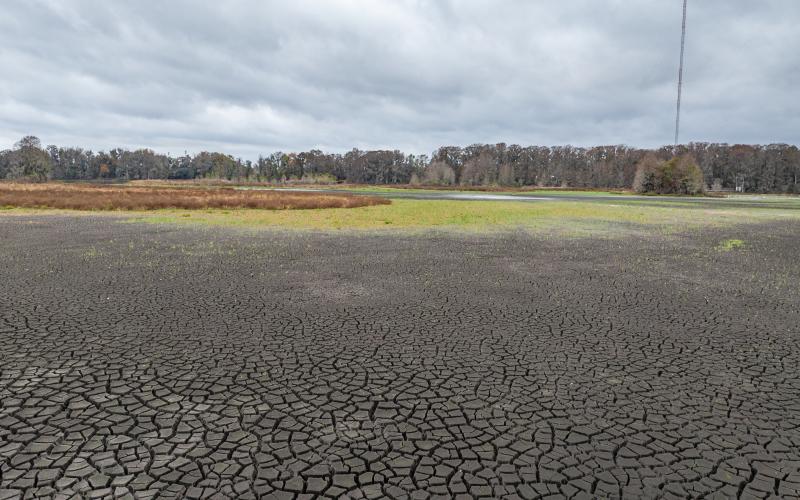 Lake City Reporter freelance photographer Ray Carpenter won third place in the spot news photo category for a shot last December of a dry Alligator Lake. (RAY CARPENTER/Lake City Reporter)