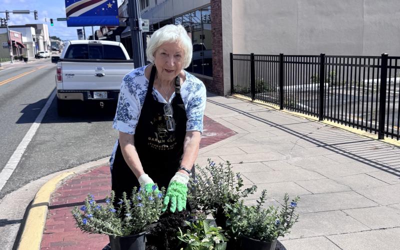 Jan Wheeler adds flowers to a planter along Marion Avenue for the Lake City Garden Club. Club members planted the new flowers, which will be red, white and blue, ahead of the country’s 250th anniversary celebration. (COURTESY)