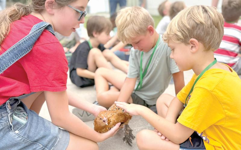 Little Poultry Pals campers enjoyed an up-close encounter with one of Junior 4-H member Josie Harlow’s chickens during a hands-on lesson about poultry and agriculture. (COURTESY UF/IFAS EXTENSION COLUMBIA COUNTY)