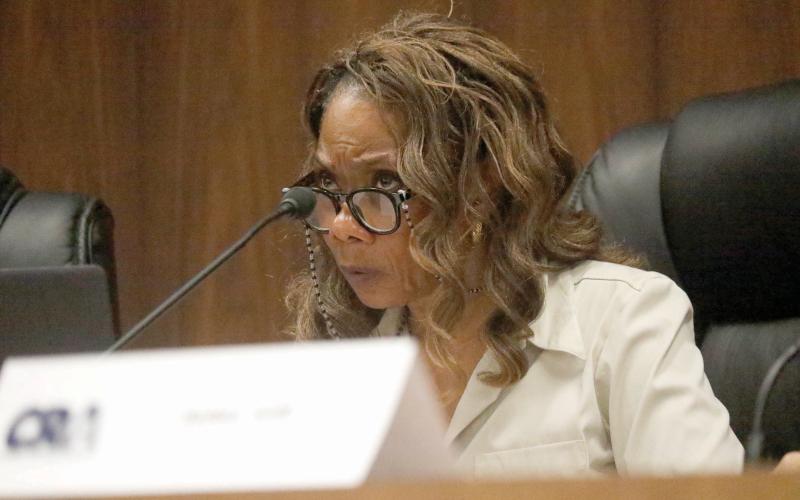 Live Oak City Council President Vanessa Robinson said with software upgrades eyed across city departments, another discussion should be had on what tools to use to make sure they are all secure. (JAMIE WACHTER/Lake City Reporter)