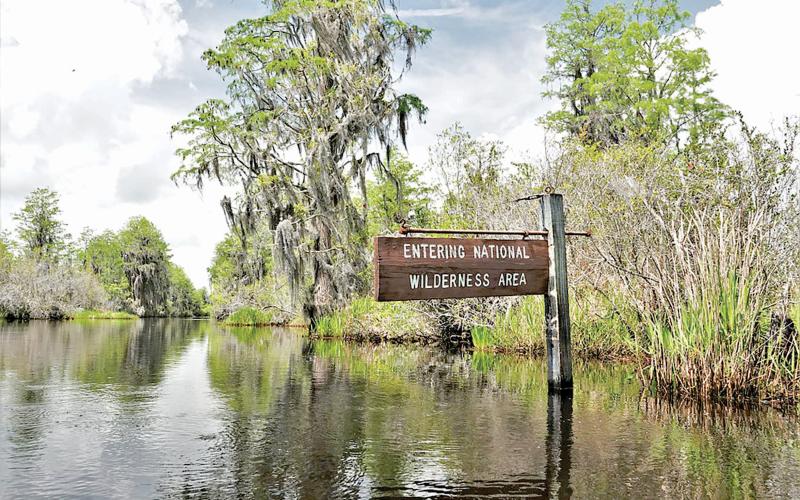 The Okefenokee National Wildlife Refuge, the swamp in South Georgia and North Florida that spawns the Suwannee River, has been named a UNESCO World Heritage site. (Larry Woodward/U.S. Fish and Wildlife Service)