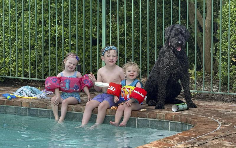 The Gateway Art Gallery’s third annual Precious Pets Portrait Contest returns with submissions due Saturday. The contest can include humans alongside pets, whether it’s the owner, their children or grandchildren. (COURTESY)