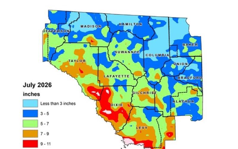 While some areas of North Florida received more than 11 inches of rain in July, the Suwannee River Water Management District received an average of 5.41 inches that month, less than the historical average. (COURTESY)